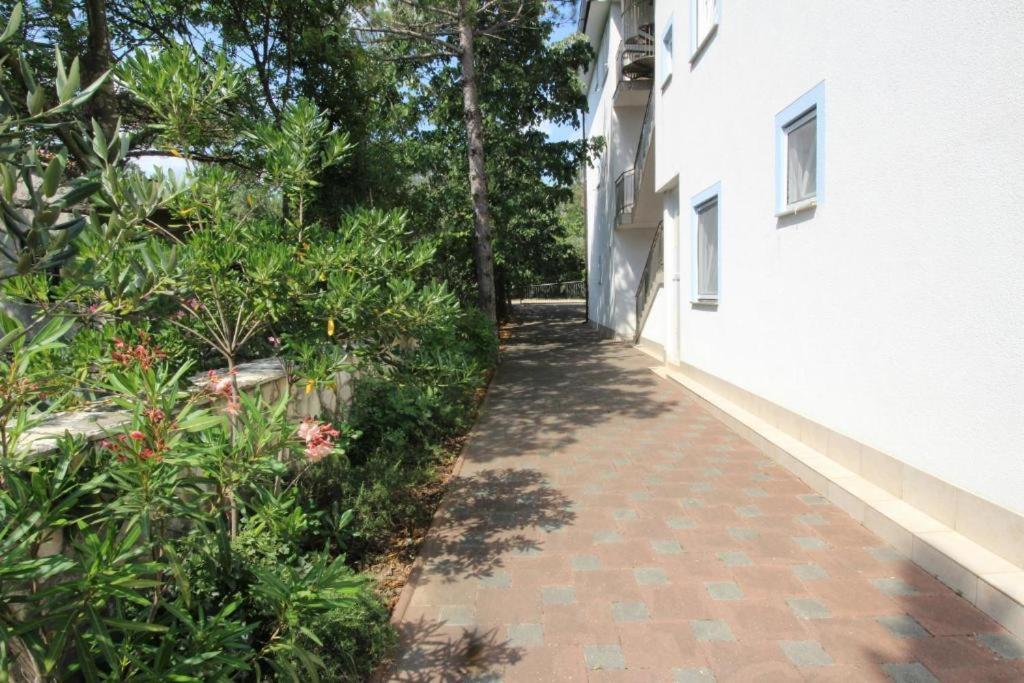 Apartment Zec *